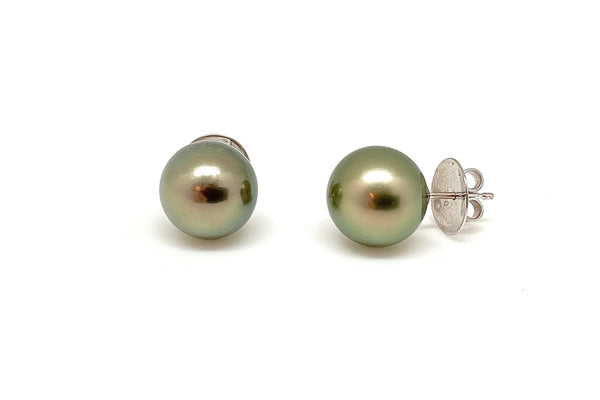 Tahitian Cultured Pearl Studs 11-13mm - Assorted Colors